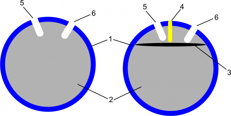 Datei:BallinnenlebenPolyesterball.png